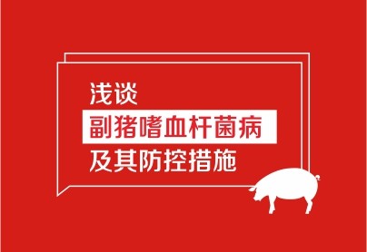 浅谈副猪嗜血杆菌病及其防控措施